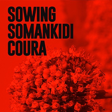 Sowing Somankidi Coura